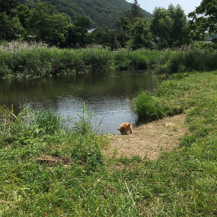 7555ac52 b2cd 4531 a3a5 403865be7a30