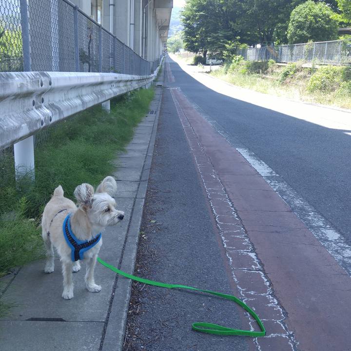 75567e17 589e 475a 8a10 601125d06dc0