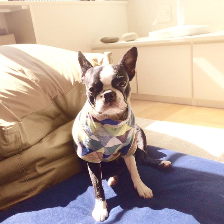 7556c95c 69ae 4fbd 98b6 2d01322f63f6