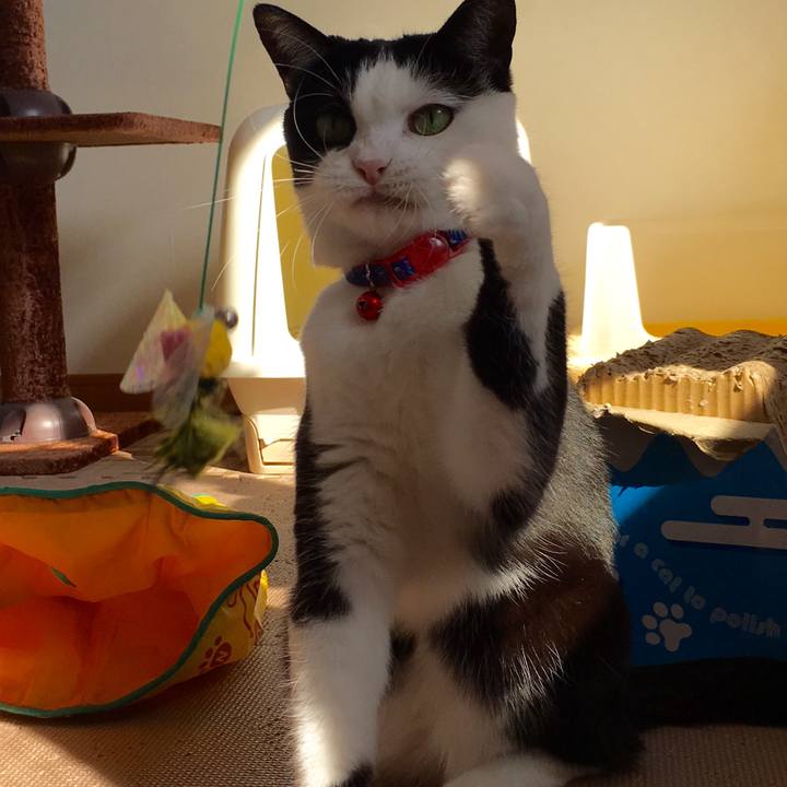 7556e5ec d60e 4f42 bfb0 141e70f75d7c