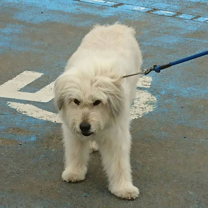 7556ec1a 6f66 4fdc 8fd0 82ad0cce2b50