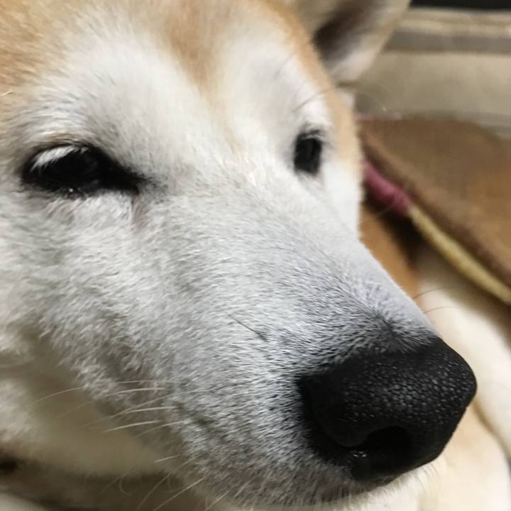 75570869 4507 4f47 980f 7ab6e9cde220