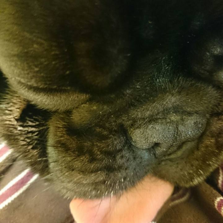 75573bdc 8db0 4c35 9ac8 362b3ab9906a