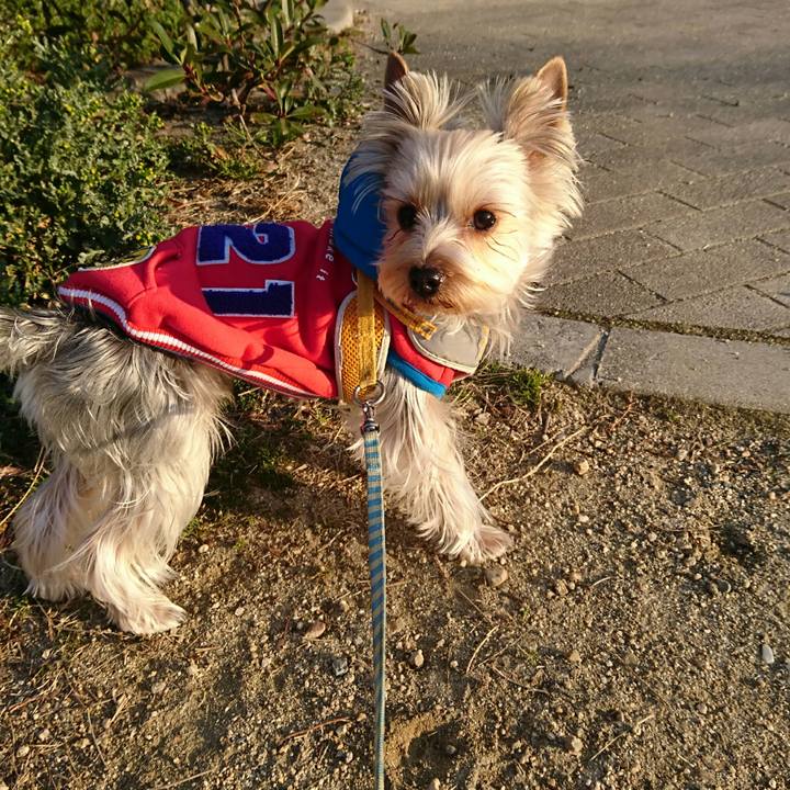 75578061 76ff 46bf bc03 0e233cbee8b6