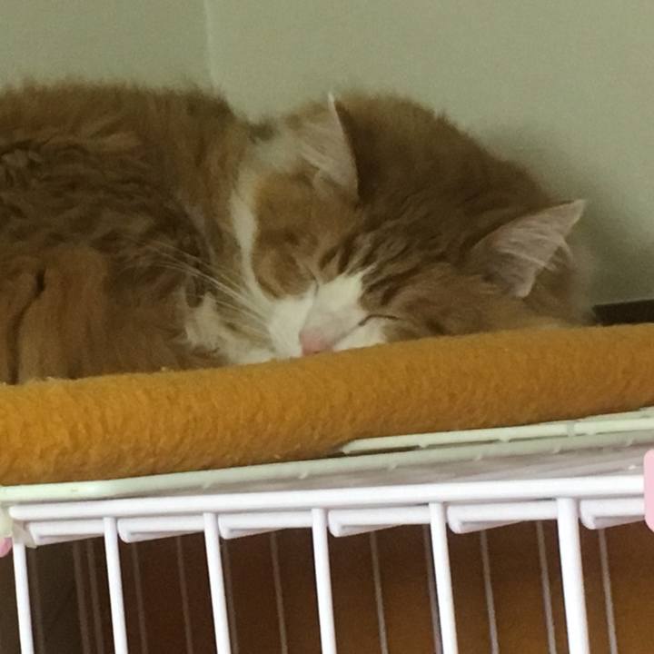 7557821d 0e77 4d58 bc78 6e68d7b62738