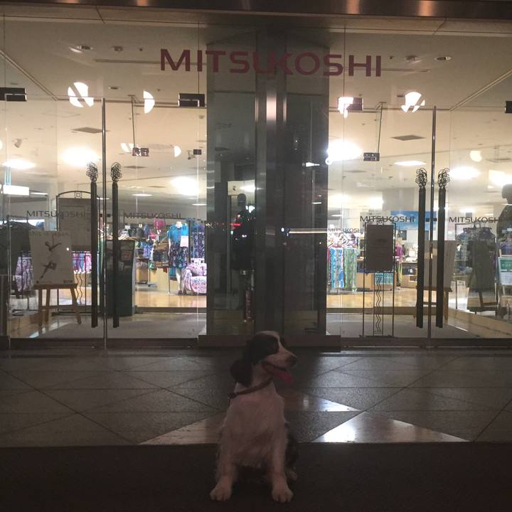 75586c25 8f54 47e4 8ba9 9e9217377e24