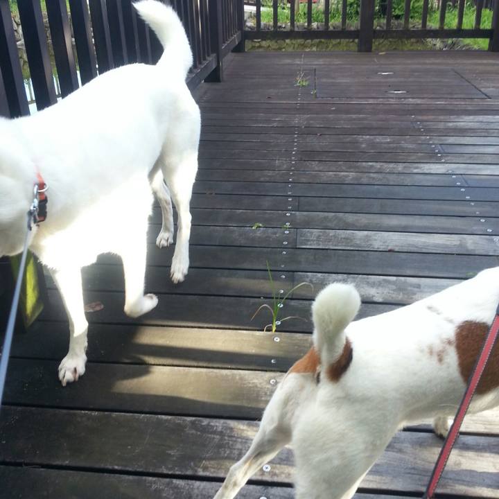 755891f3 38ab 40cc a44b 74311ba4658d