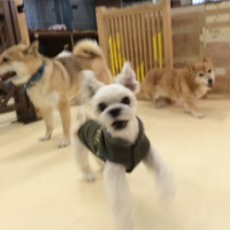 75591eb0 0242 480a b167 db121b8ae454