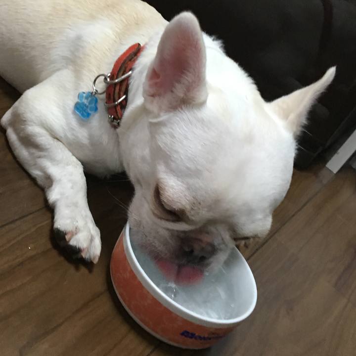 75592567 5041 4923 9966 391dd3bfac06