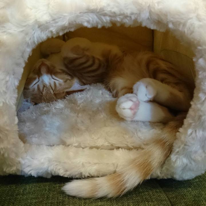 75592d17 b8f0 4f49 a95e c8c66dd5b58e