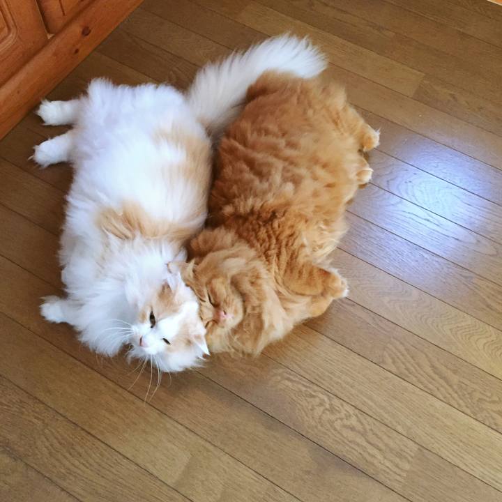 7559c1a1 f14c 4d32 b280 705be7bc47c3