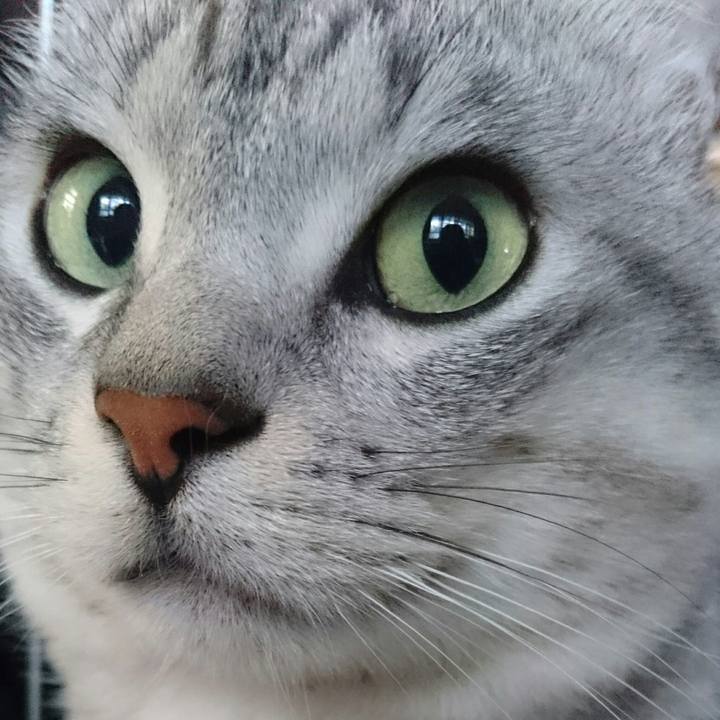 7559d0b4 c949 4584 8139 6638267876a0