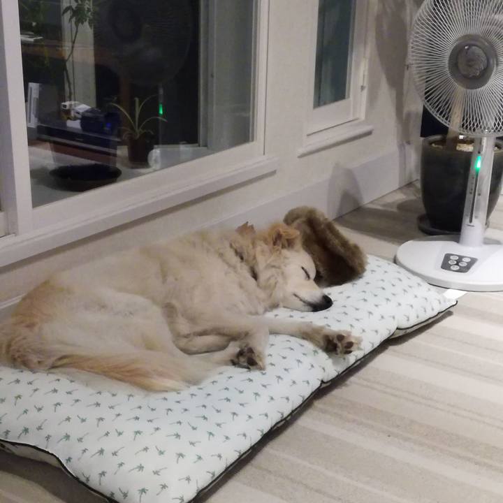 755a952e 6601 46af 9eb5 1550098e2016