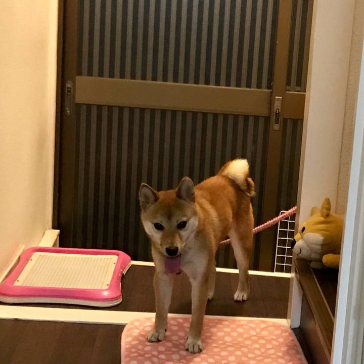 755ab644 72fb 4c29 8841 9aa5e2d1f4b5