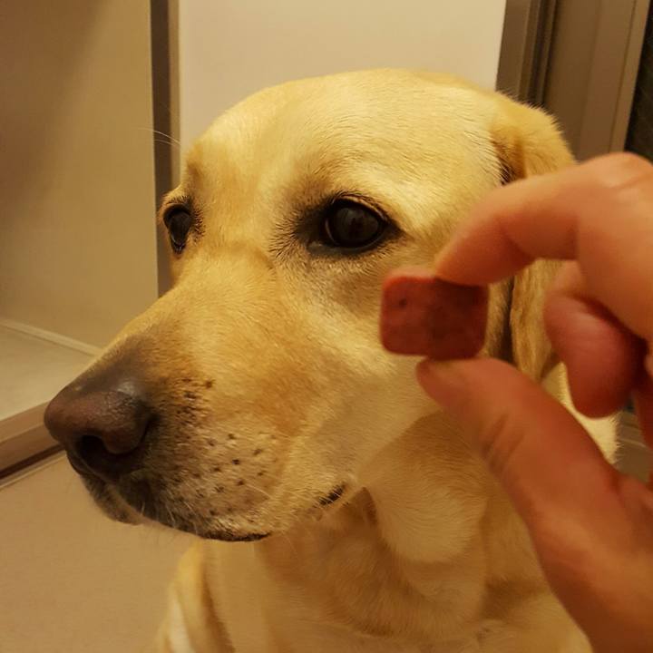 755bdad7 0fc1 4f17 90c1 305cb4130c28