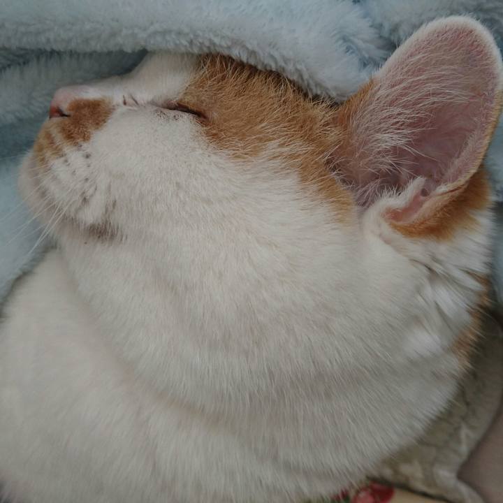 755c6f27 e3ea 4c63 858c 590b29d9d3c3