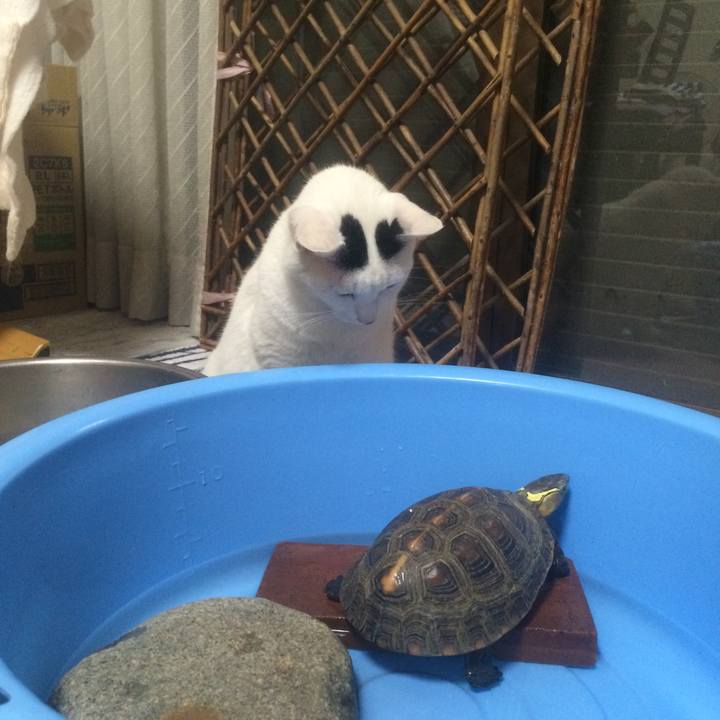 755d2c36 234a 47de 8fc8 3e15f6edf030