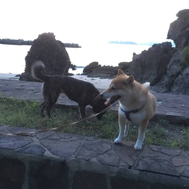 755d4bdd db87 4b0f 943c 61d5b0054665