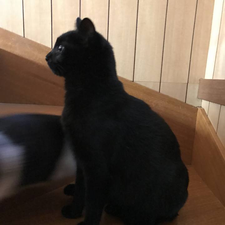 755d5193 82eb 4dee b194 12a963c2415c