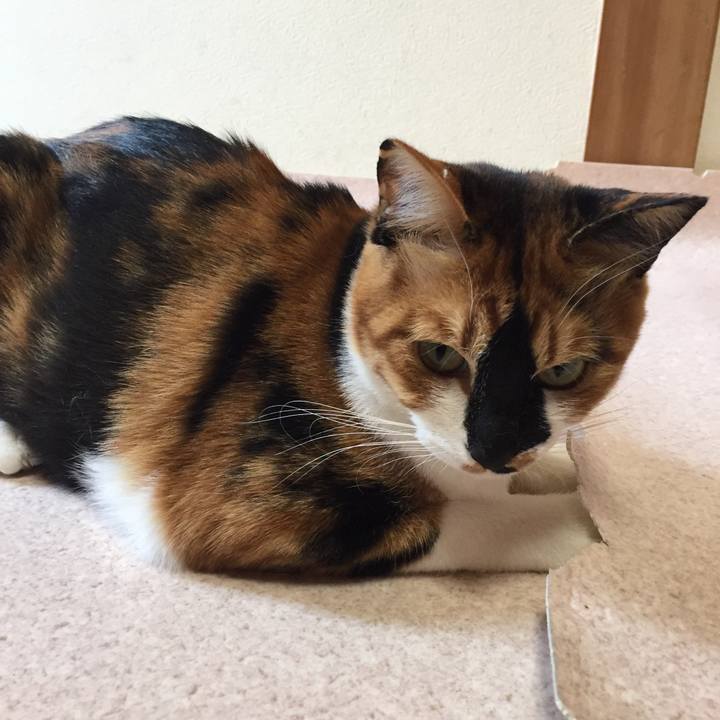 755d64f4 ba19 4e38 94d8 2c987a23f9f0