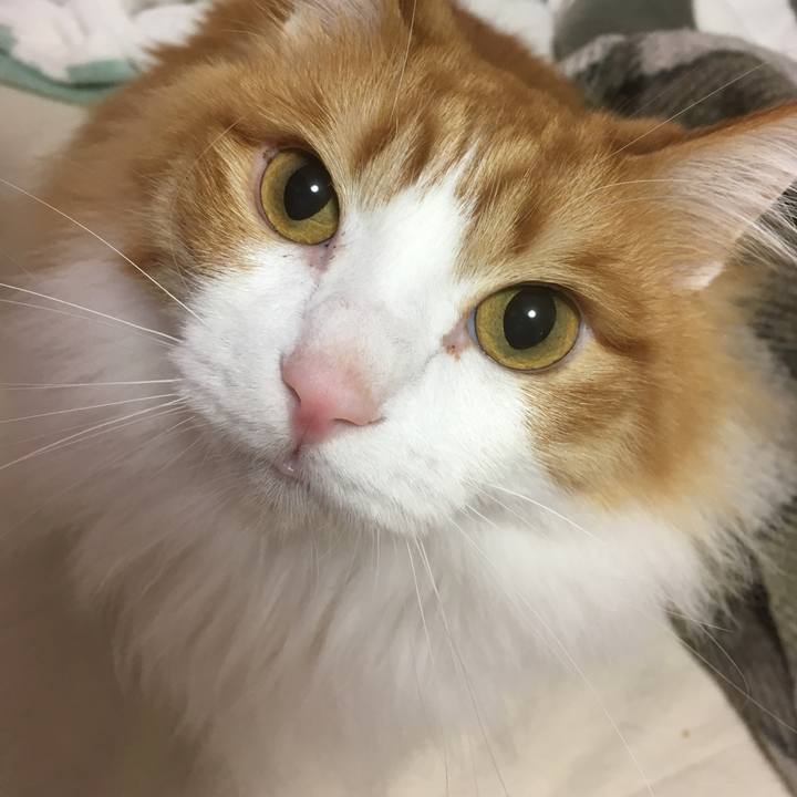 755d8edd a3ac 4e5b a78a 160e16752125