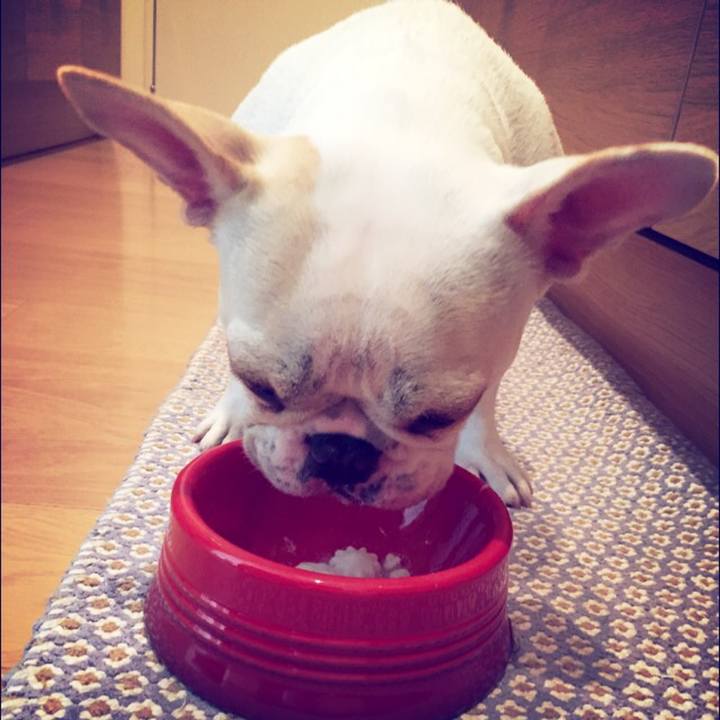 755dae0b 5966 4701 b437 330f54950e14