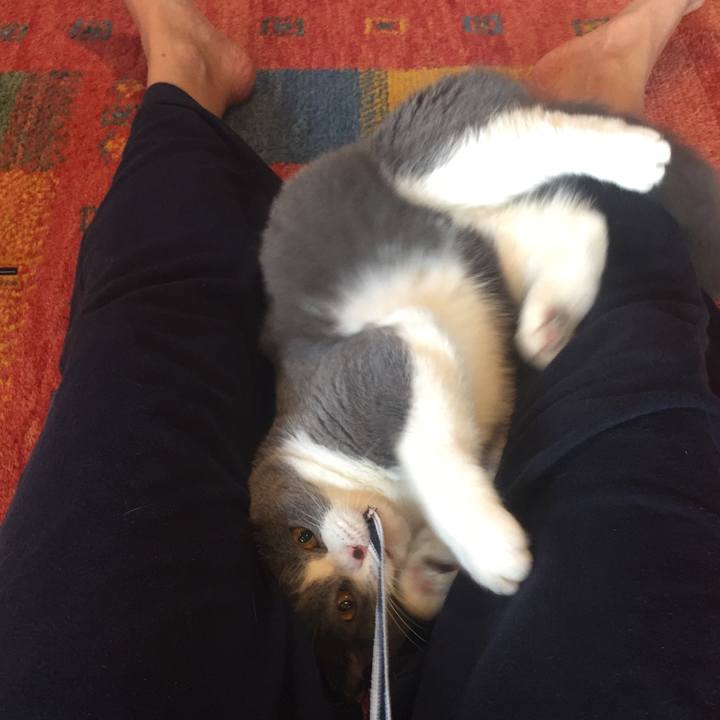 755e307b 36a5 4372 849c ccf686662a00