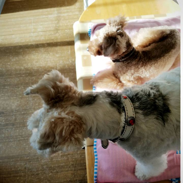 755e8c75 dca9 413b a659 ffd212bb46a8