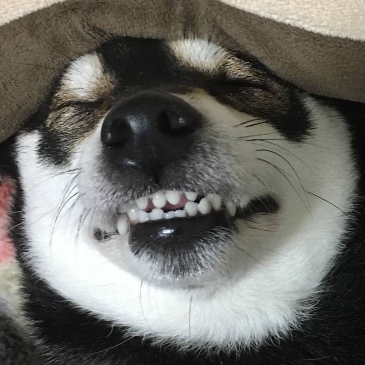 755e9169 d296 46ff a368 747047c0afb7