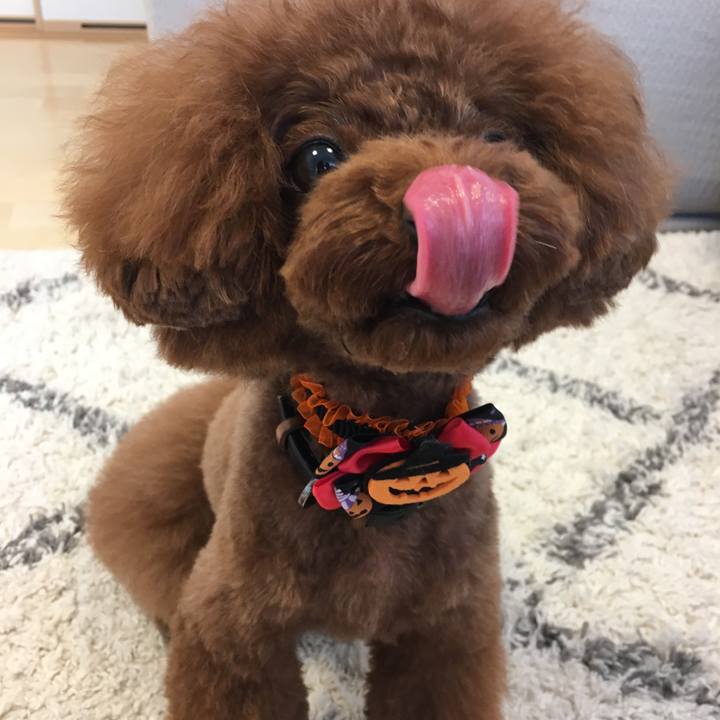 755ef9b7 0b04 42c0 8578 64c45449de1f