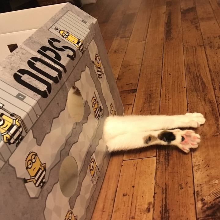 755fcf81 f202 4550 8dc4 eb977b5a8596