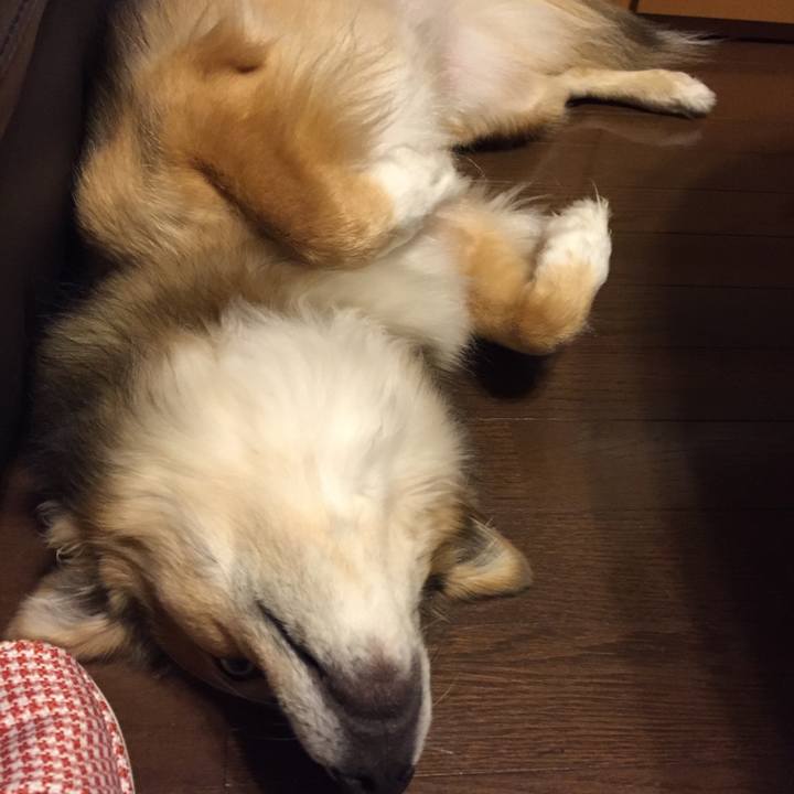 756077ac 0e10 46df 96a3 1b7847c862ef