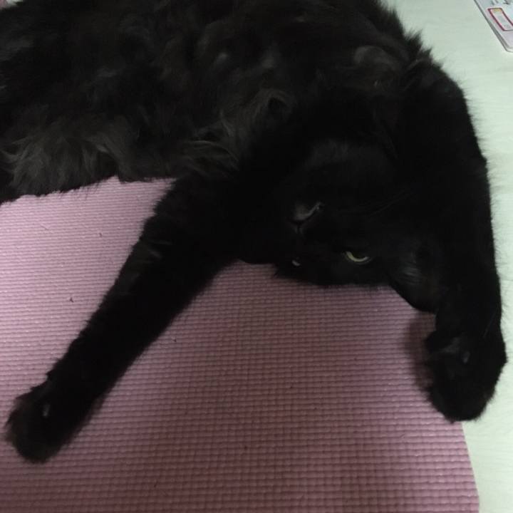 75607814 8962 4537 8242 2f8e3df049b5