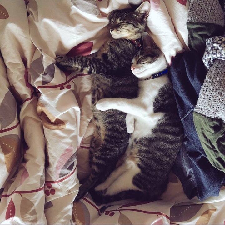 7560b4e1 b87c 429d b037 92dcad59fb58