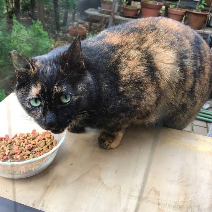 75618832 a5d3 4ccb 9a75 2fcc1c25afdf