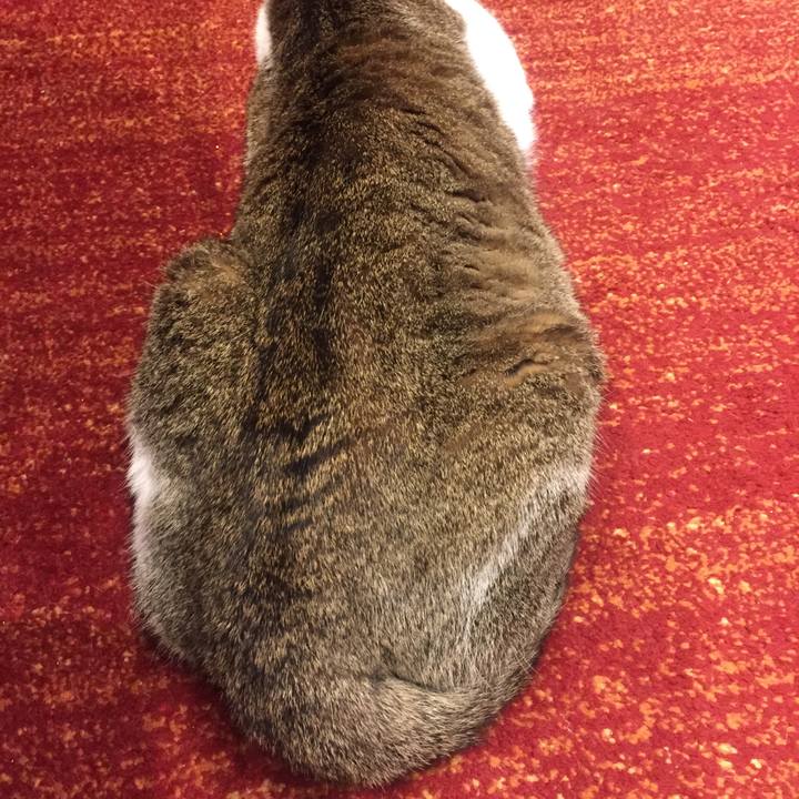 756188bc 965b 4d53 90da 182e7a6b02a7