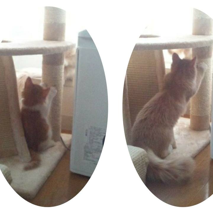 75620cf6 01ac 45a3 ae2b 1d3968595abe