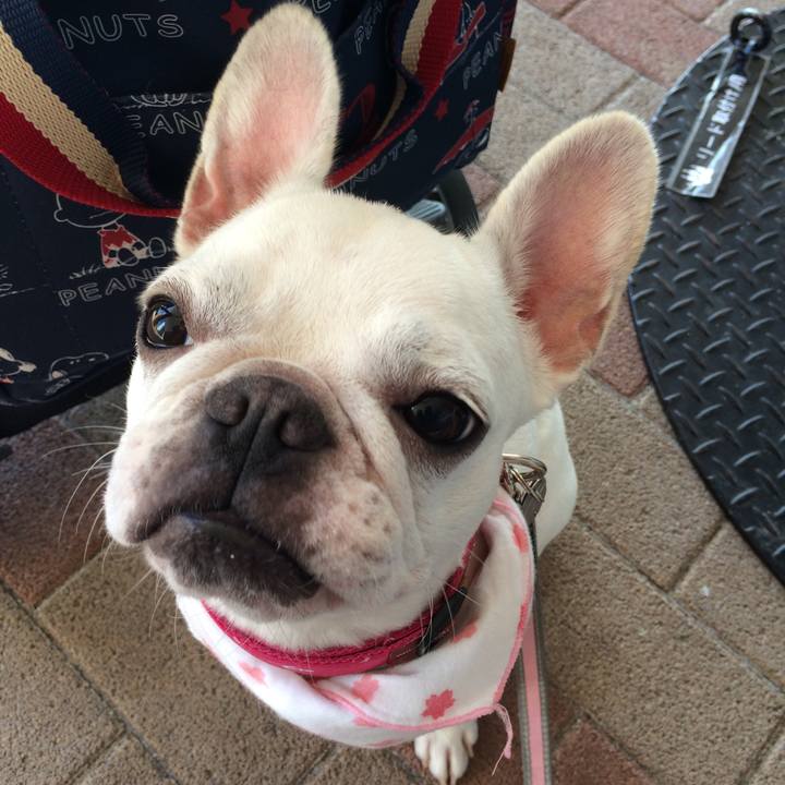 75632722 852d 4b28 9f47 77ccc1eabfab