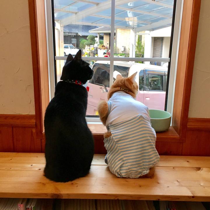 75639973 7c2c 480b be7f 175930af68dc