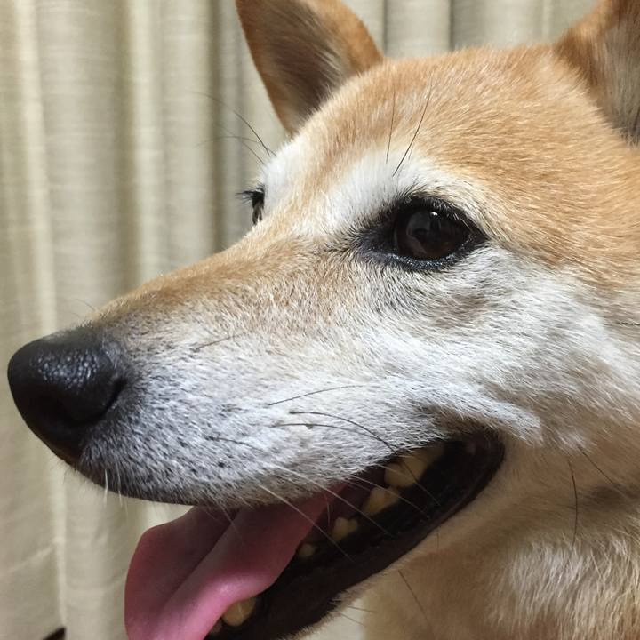 7563a388 3b87 4b93 bcc3 2842ba11023d