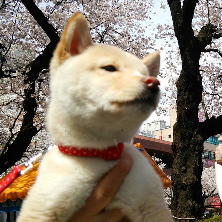 7563ba3f fe17 4cd6 9c97 8ea2a56423ed