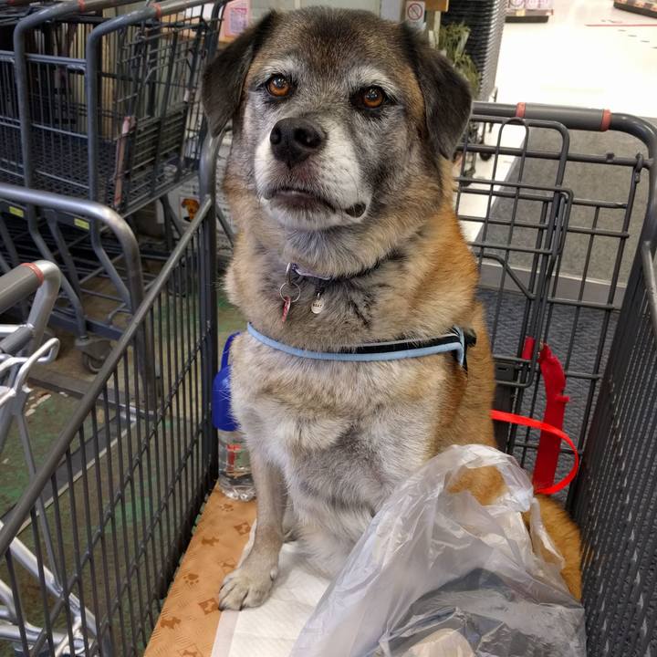 75641a1f 1746 4cd3 8f7b 59313f7e58bd