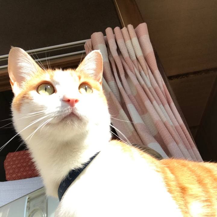 75646c41 d13b 4c6e a7c1 18712235c378