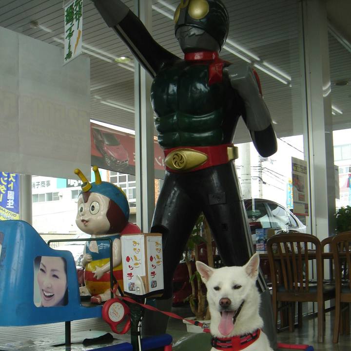 75647b12 6bb7 437c 8565 221e482f9587