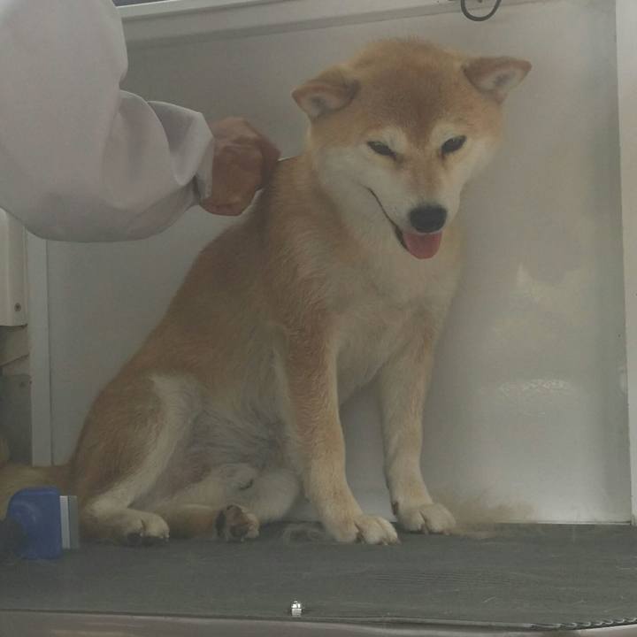 7564b1a6 9328 4142 9525 a03acee80ded