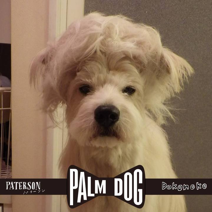 7564c825 83fd 4bc8 b326 ac3968595b69