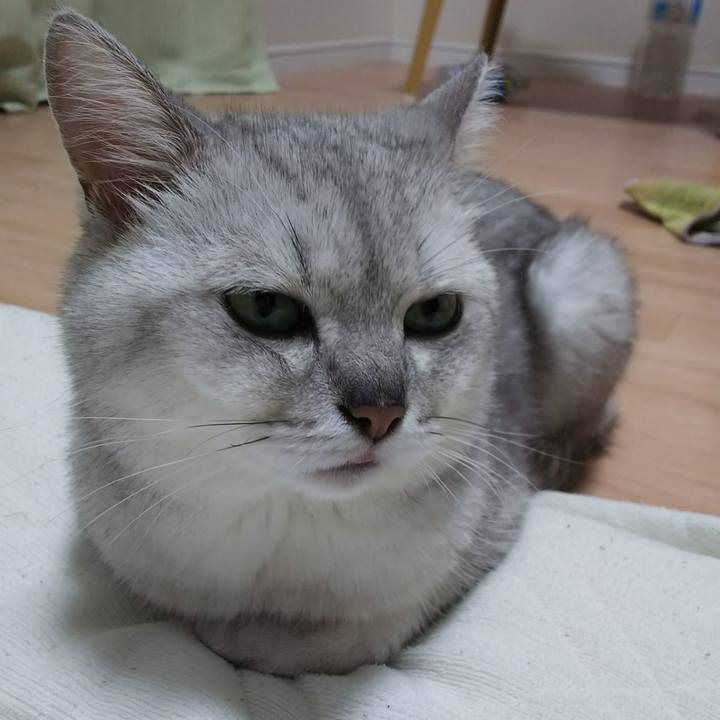 7564d4ea c294 47ec 91a4 0c452217d23a