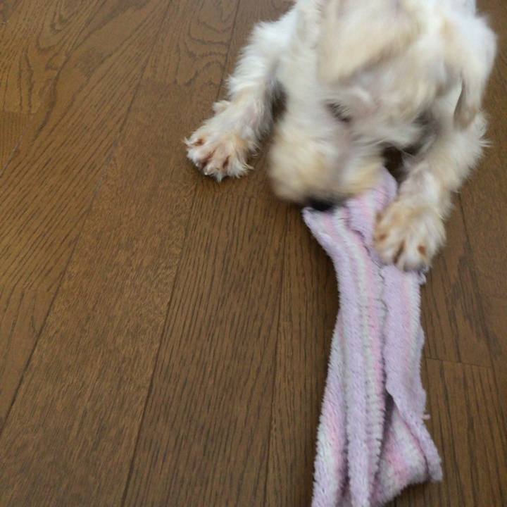 756523d0 efc7 4d9c 8ee8 32acd2317282