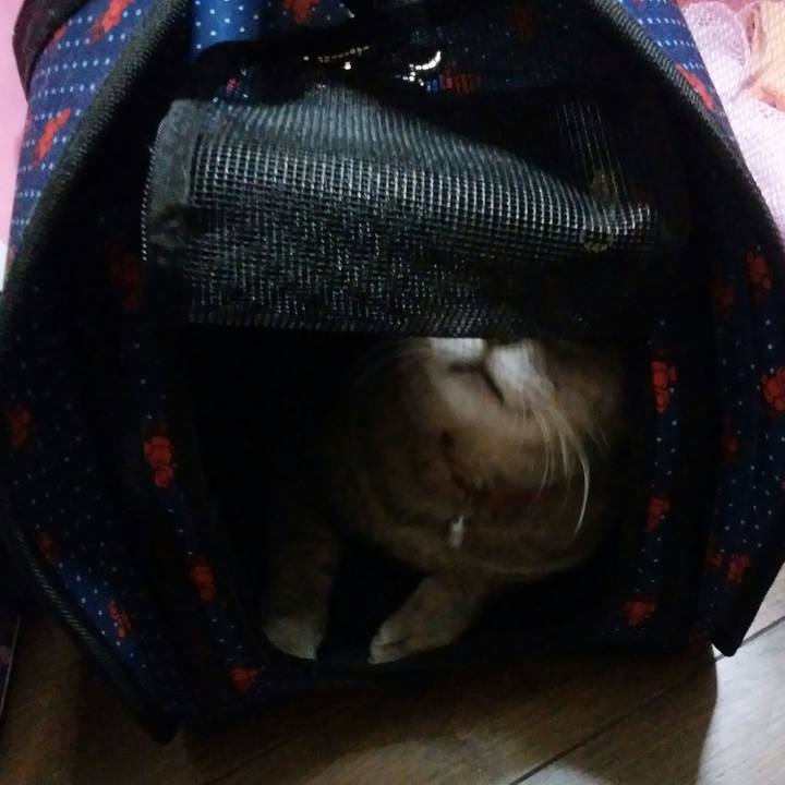 7565a4de cd07 48dc bcdb 5ee6b8cd2f0e