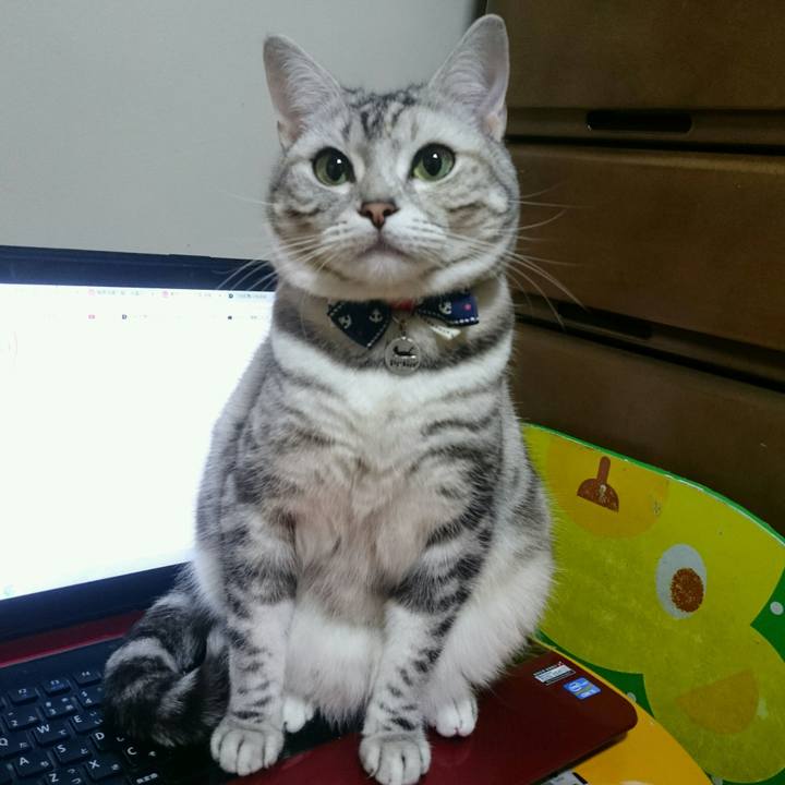 7565f2d8 b74a 4139 84c4 cc3c30635bae